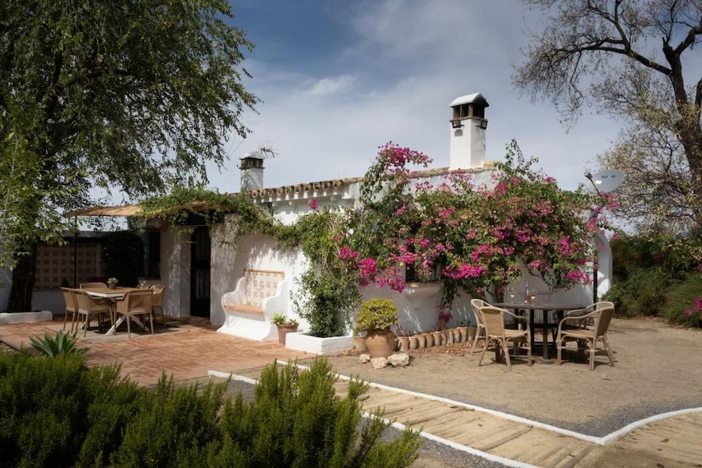 Villa Ranchito De Alhucemas,Piscina Privada Y Barbacoa Montellano Exterior foto